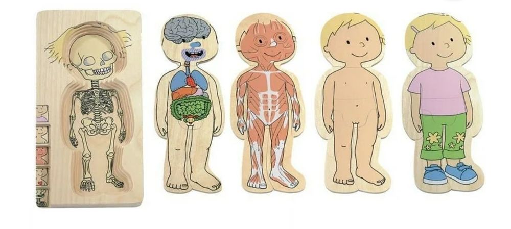 Puzzle educational Hape - 5 straturi - lemn