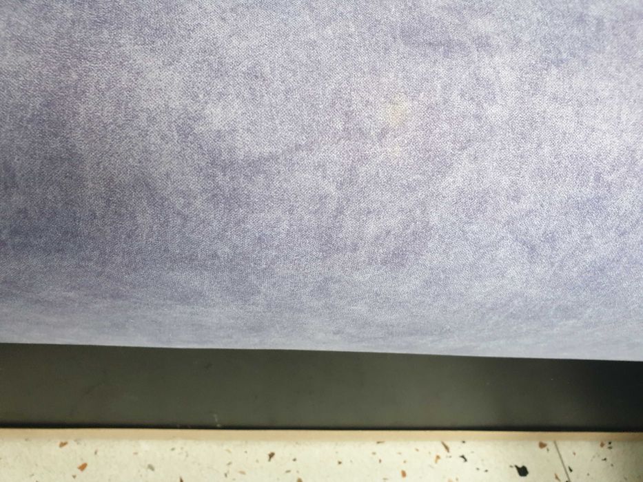 Canapea bleumarin pet friendly