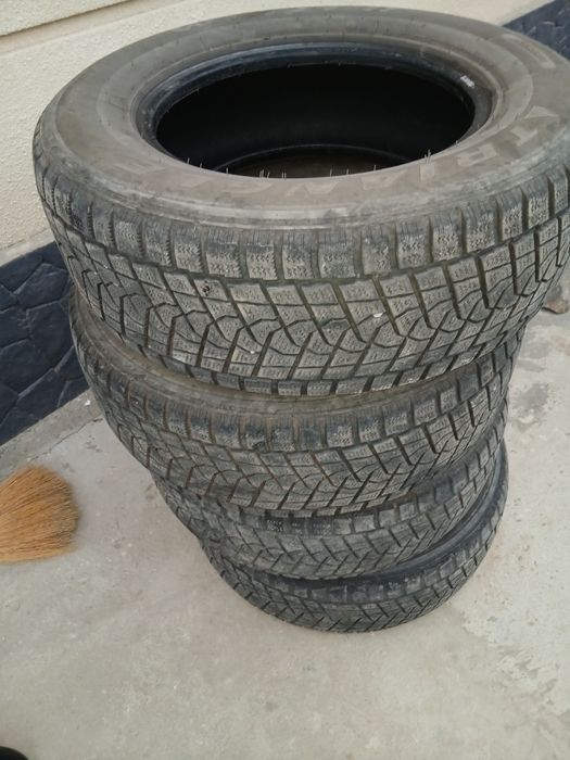 Зимние шины triangle