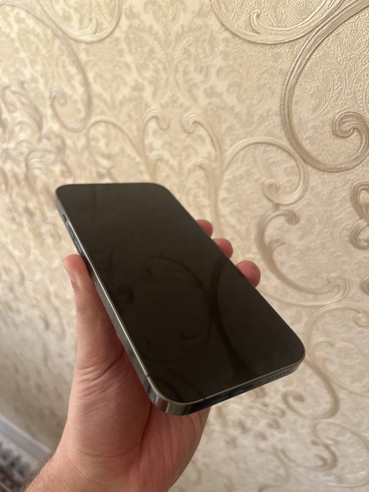 iphone 13 pro max ideal