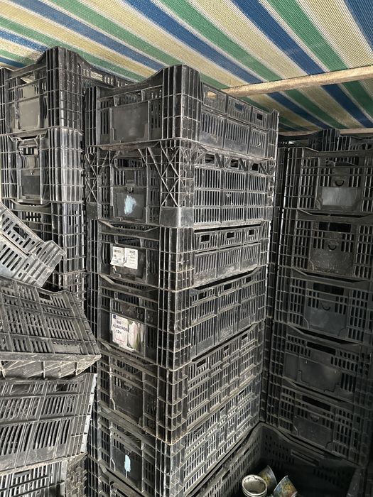 Ящики 60х40х20