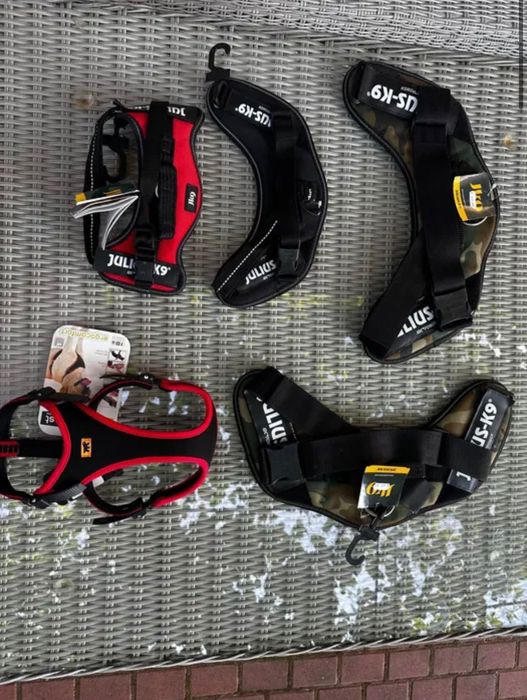 Vând hamuri pentru câini