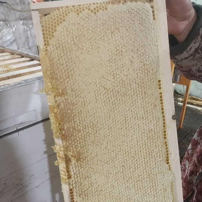 Мёд в СОТАХ, полурамки запечатанные