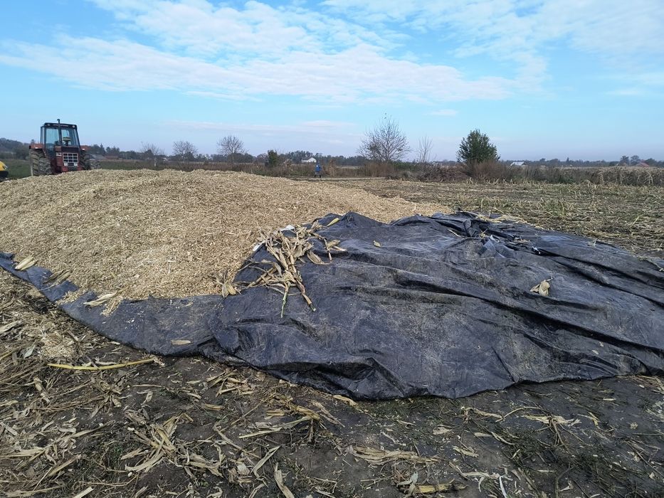 Vând siloz de porumb