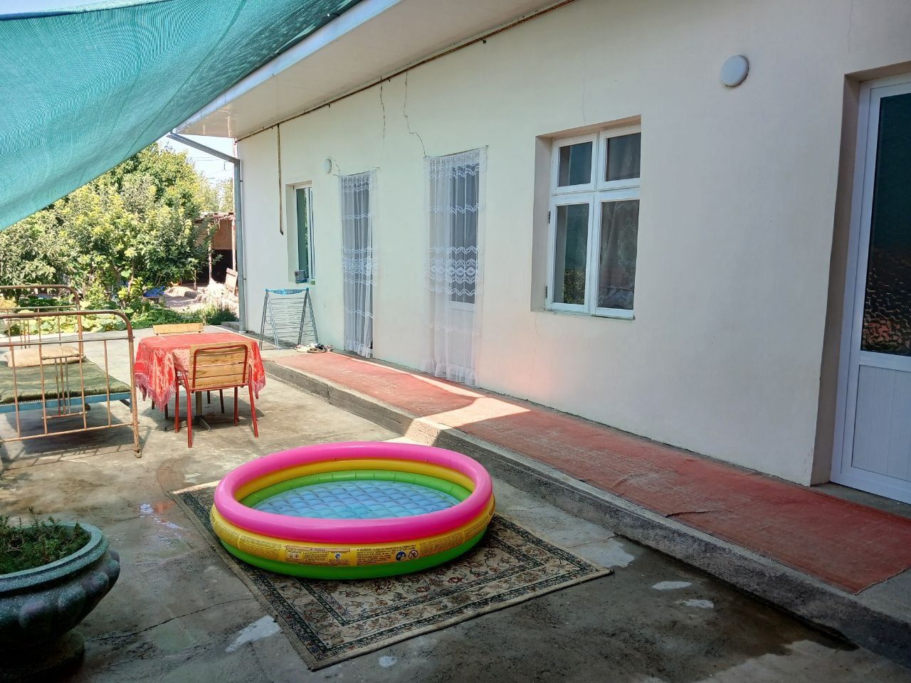 Oltin tepa tutzor da uchastka havas oldidan kirganda