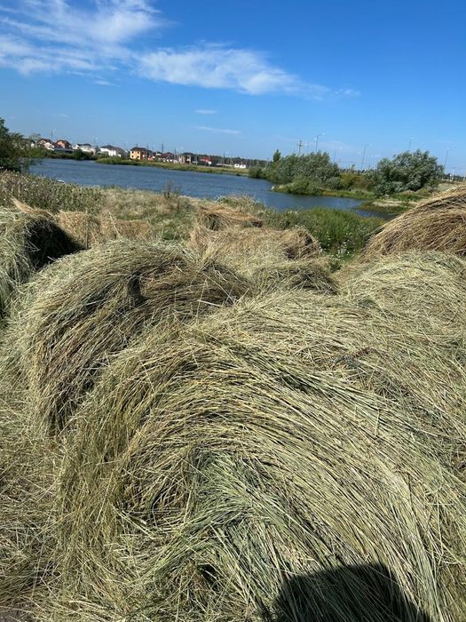 Продается сено, луговое, зеленое .Вес 250- 300 кг.  Цена 10000тг. Тел.
