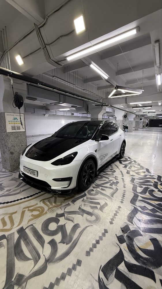 Telsa Model Y 2023 Dual Motor Long Rang