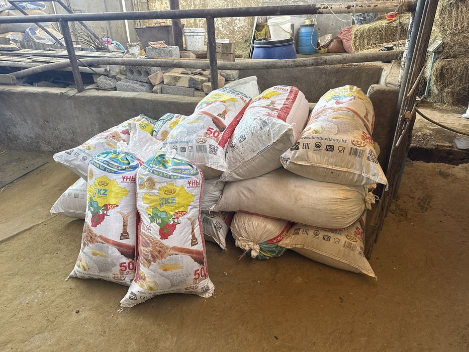 Qoy gongi quruq qoplangan tekinga