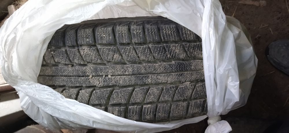 Комплект зимних шин Triangle Snow Lion