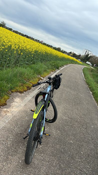 Bicicletă electrică
