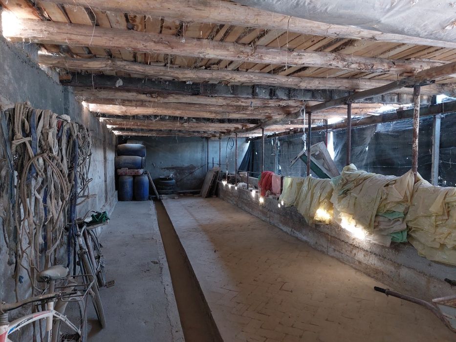 Tayor ferma sotiladi !