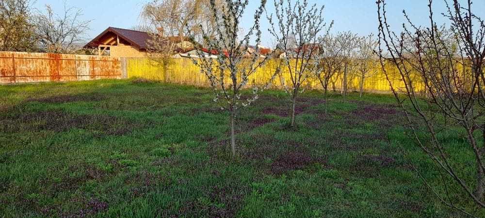 Teren vanzare Dumbrava, Neamt