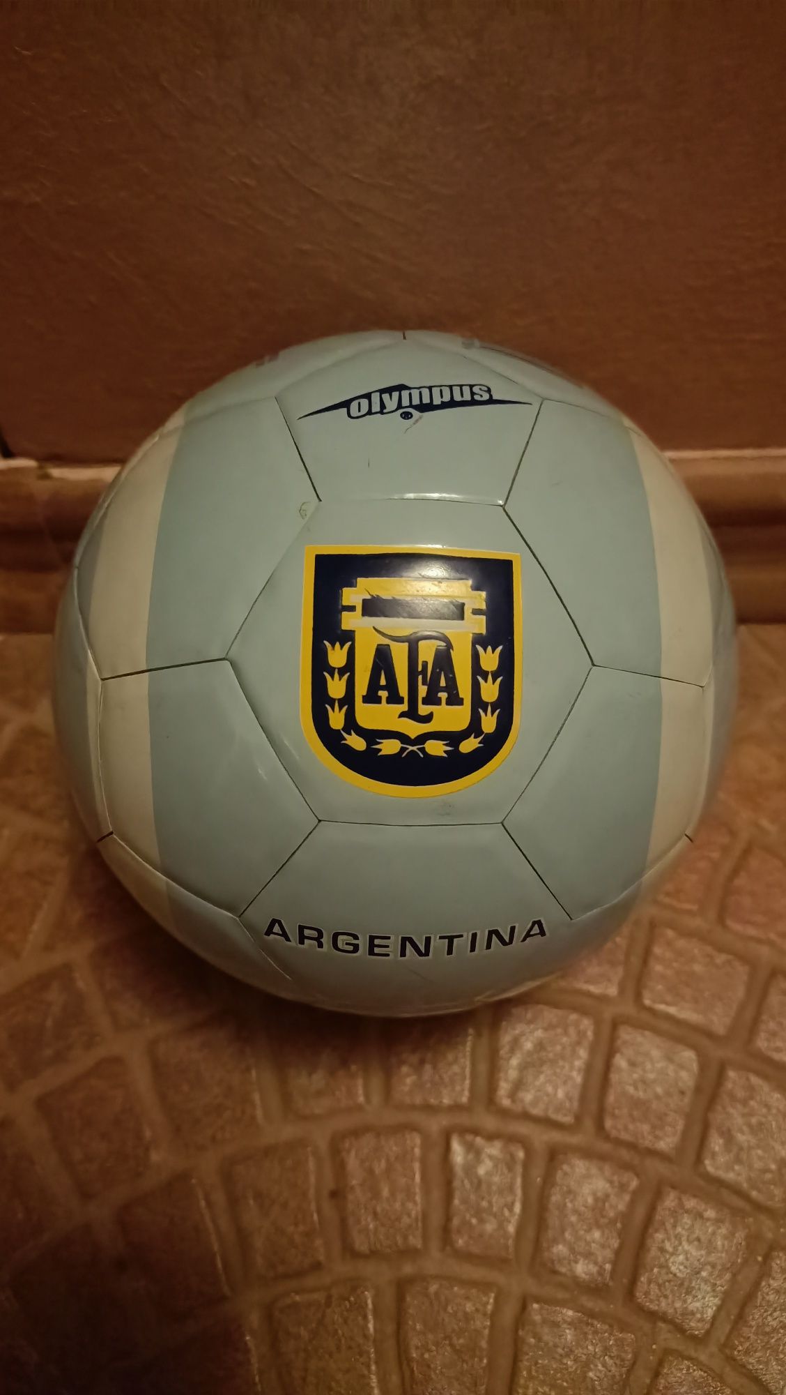 Minge miniatura Argentina, arata foarte bine, campioana mondiala 2022