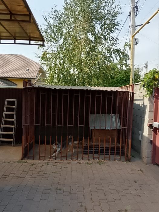 Вальер для собак