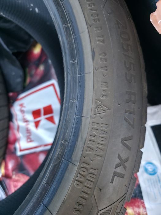 Barum Polaris 5 205 55 17V XL DOT4523