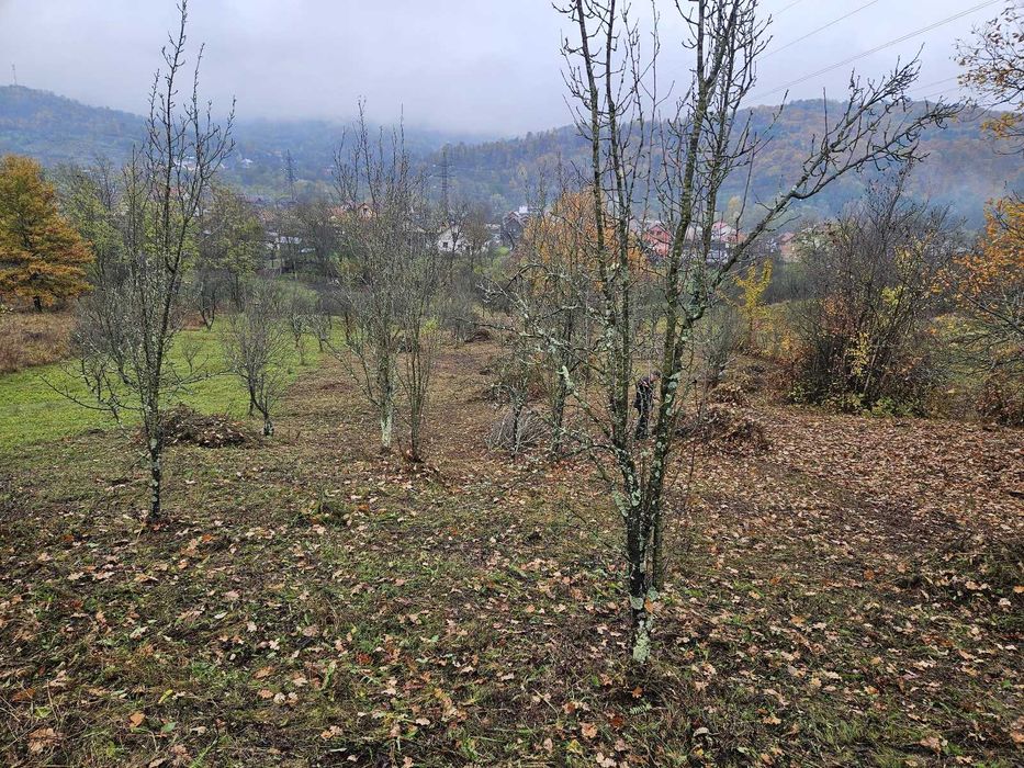 Teren de vanzare