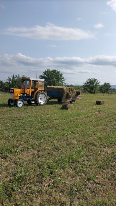 Vând baloți lucerna