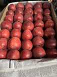 Яблока Алма Американка высший сорт Гаринтия на вкус