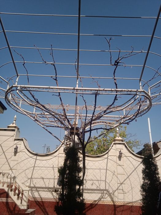 Sadovnik bogbon  gazon xizmati