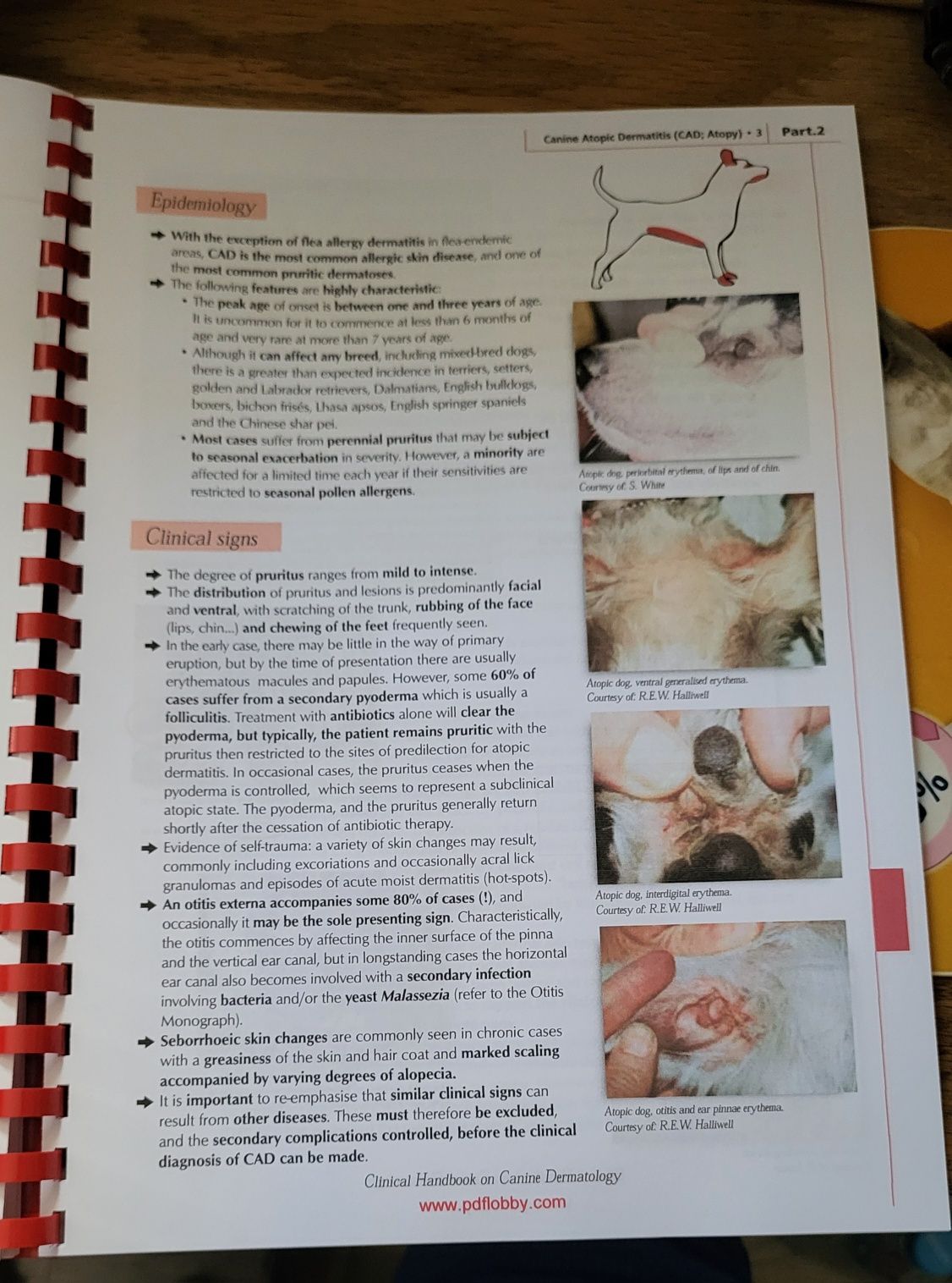 Atlas dermatologie medicina veterinara