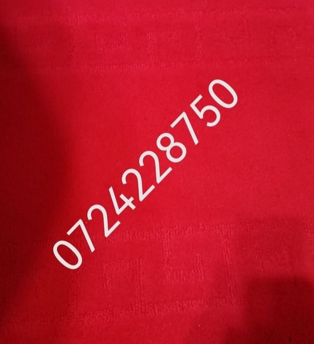 Telefon Samsung GT -C5130S  cu încărcător original