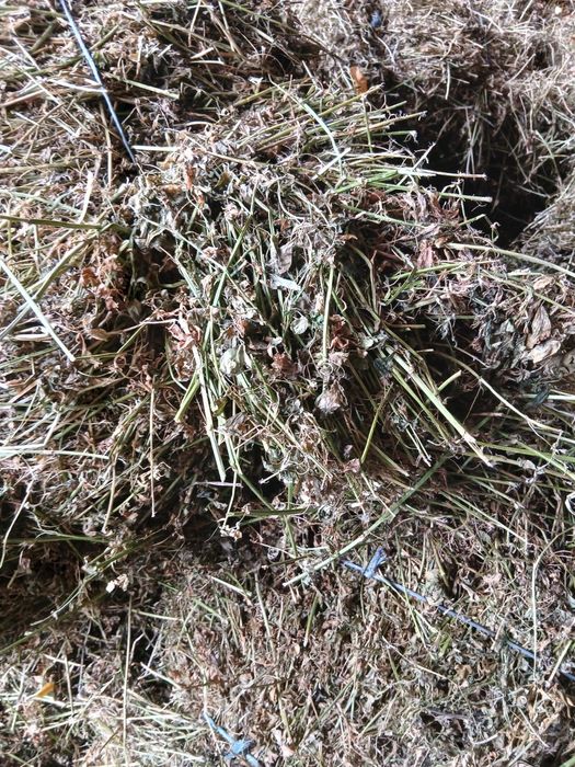 Vand baloti de lucerna si paie