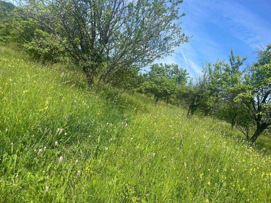 Teren de vanzare, peisaj superb, aproape de autostrada Pitesti-Sibiu