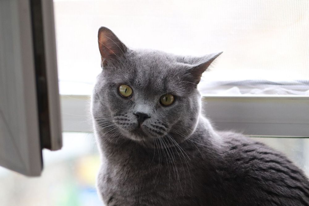 Canon 75-300mm f/4-5.6 USM EF обектив Канон