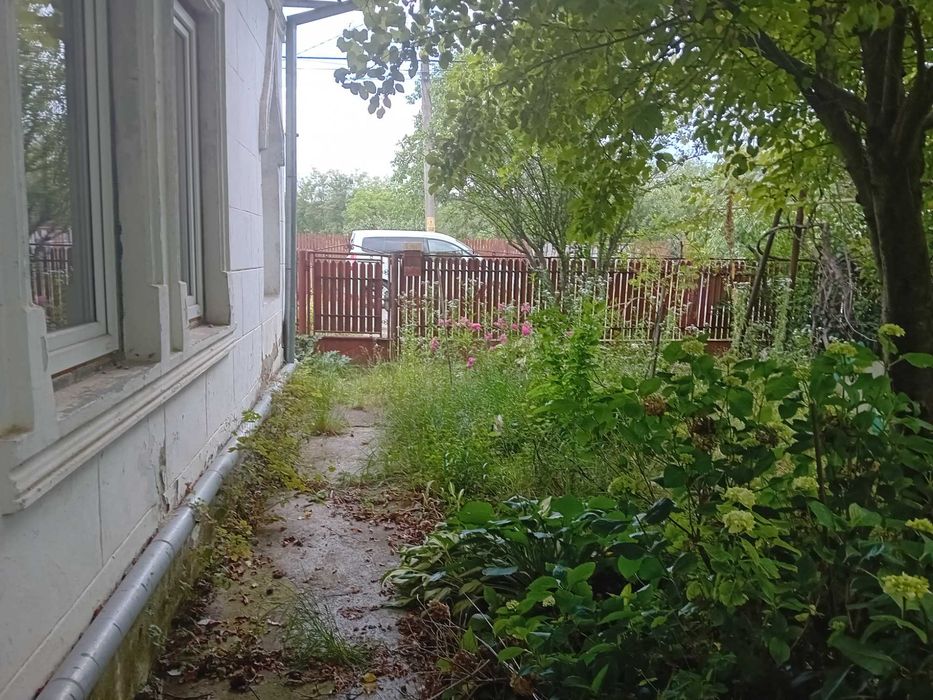 Casa de inchiriat , renovata , zona Tintea