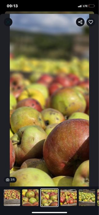 Vand mere de tuica 2025