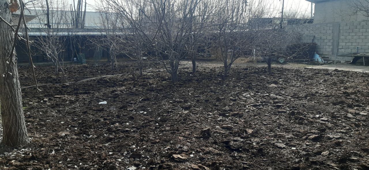 Er uchastka 6 sotix.20x30 etilgan mevali daraxtlar.erga qarori bor