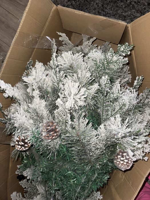 Brad inzapezit cu conuri!2.1 m