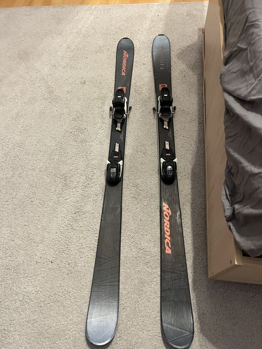 Schiuri nordica jr