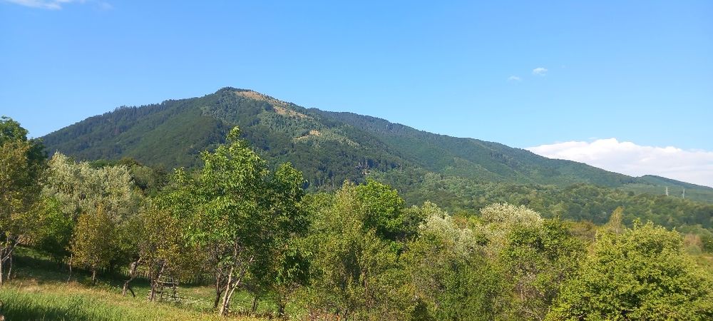 Teren montan de vanzare