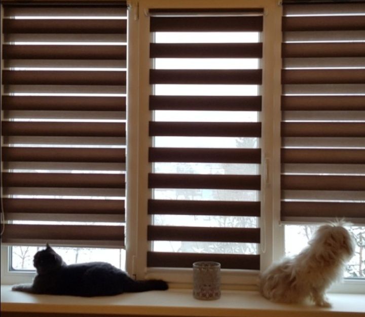 Жалюзи штори jalyuzi