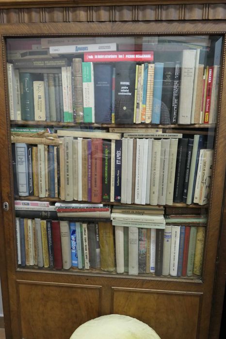 Vitrina Thoner Radauti Bucovina Mobila Lemn Masiv Act cumparare 1930