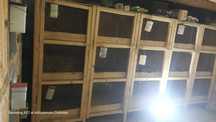 Cusca iepuri 15 boxe