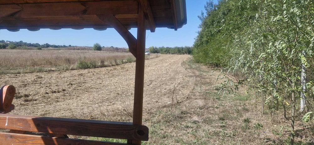 Teren intravilan cu PUZ, lângă Bucureşti, 5 Ha, utilităţi în curs
