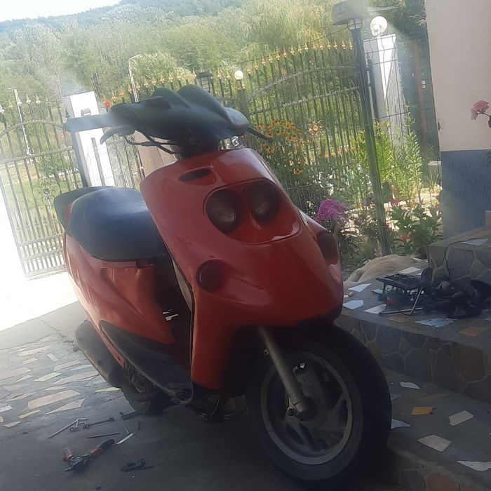 Vând malaguti f 10