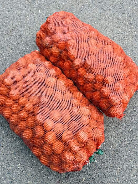 Картошка сорт Гала