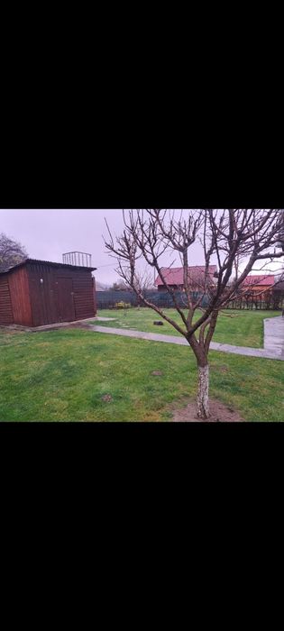 Vând cabana Moldovenesti jud.Cluj