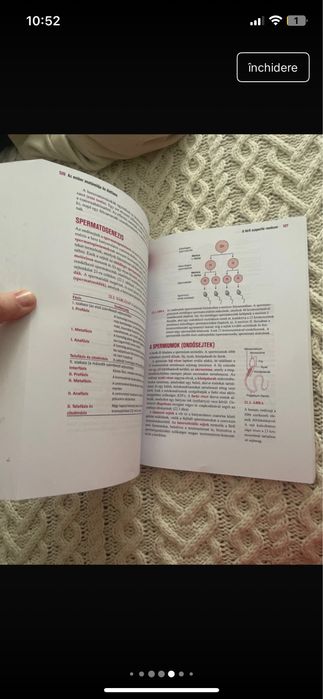 Az ember anatomiaja es elettana