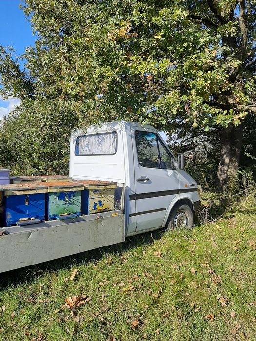 Ofer spre vânzare camioneta Mercedes