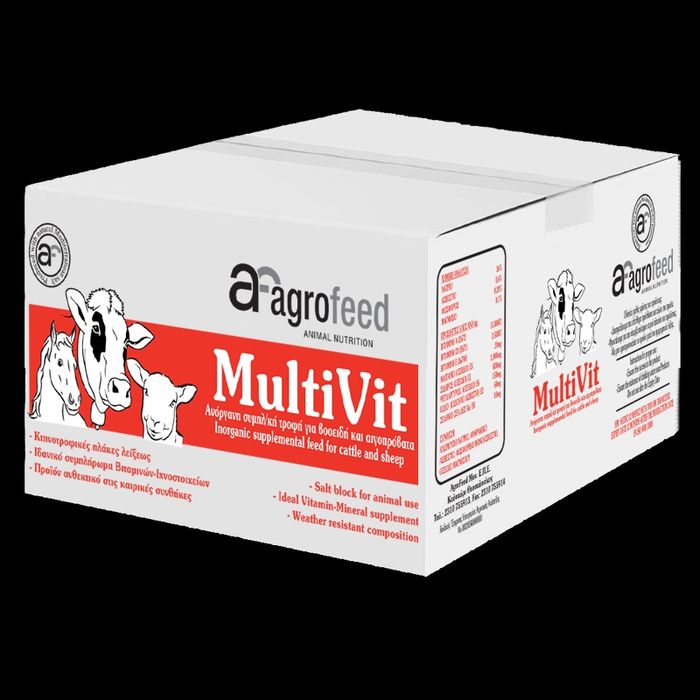Sare vitaminizat bloc mineral cu vitamine și oligoelemente