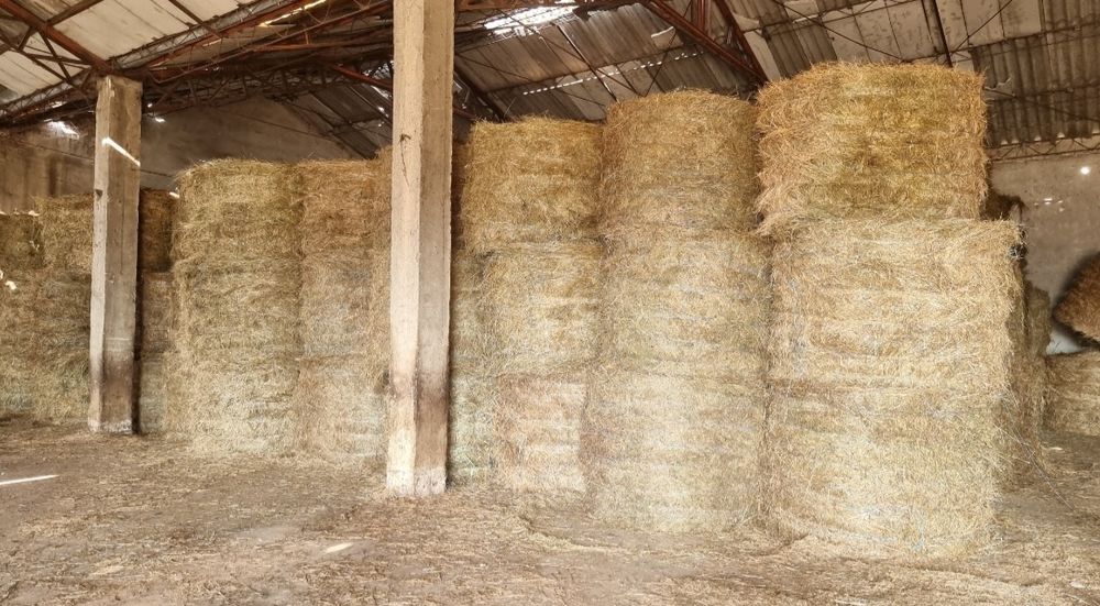 Vând baloti fân/lucernă