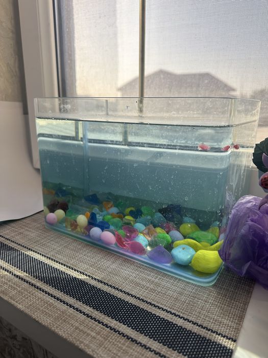 Аквариум квадратный