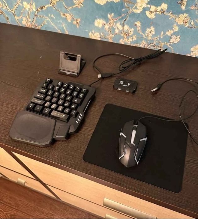 Klaviatura va mishka