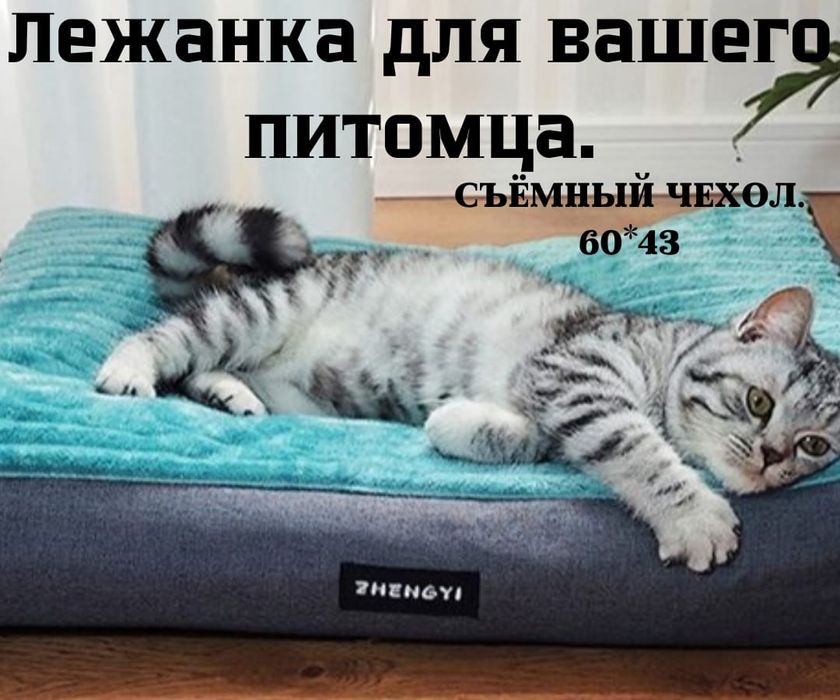 Лежанки для вашего питомца.