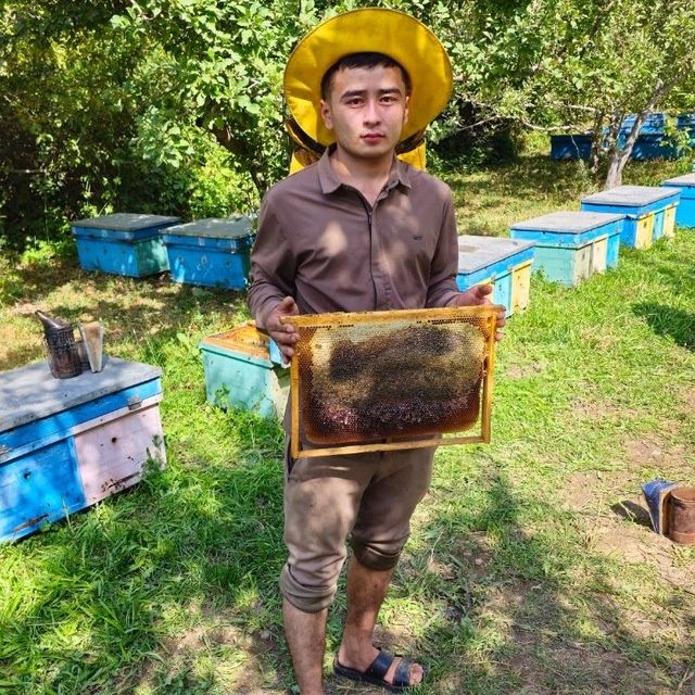 Сифатли тог ва пахта асал