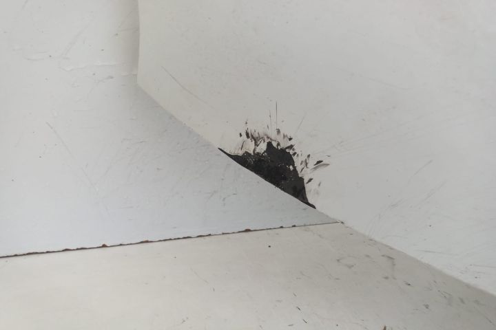 Bara Fata  grila radiator - Transport gratuit! 9833129877 Toyota ProA